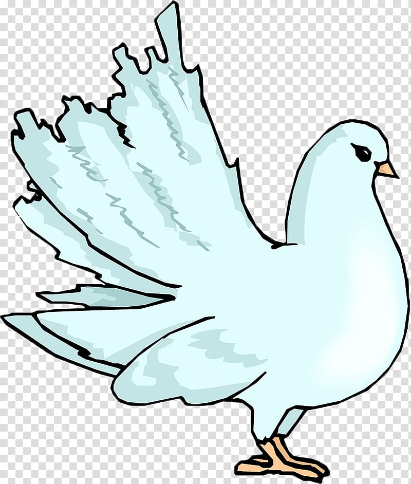 Columbidae Drawing Homing pigeon , others transparent background PNG clipart