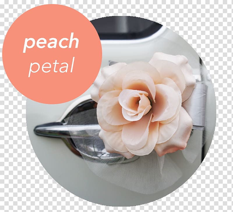 Car Champagne Sheer fabric Ribbon Peach, peach petals transparent background PNG clipart