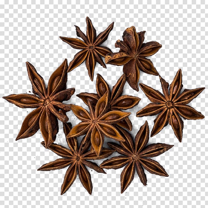 Five-spice powder Star anise Fennel, others transparent background PNG clipart