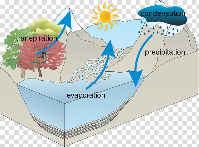 Water cycle National Secondary School Wiring diagram Middle school, microscope worksheets middle school transparent background PNG clipart