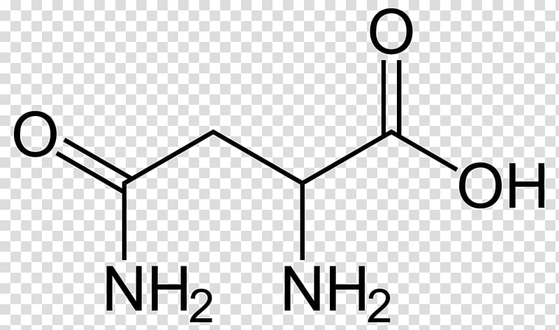 Aspartic acid Amino acid Dicarboxylic acid, ÑˆÐ¸Ð½Ñ‹ transparent background PNG clipart