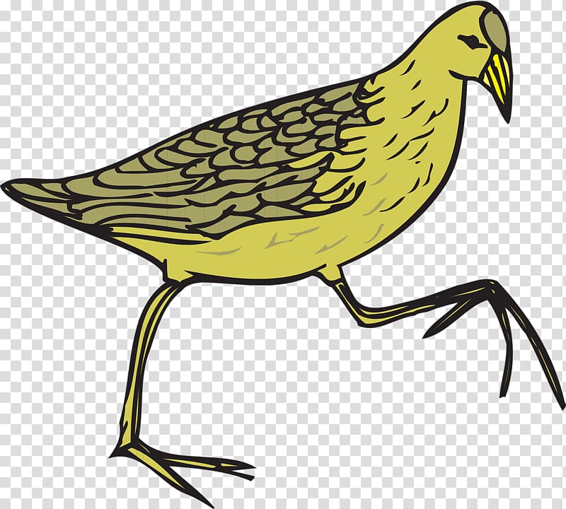 Common Quail Common moorhen Bird Brown quail, Quail transparent background PNG clipart