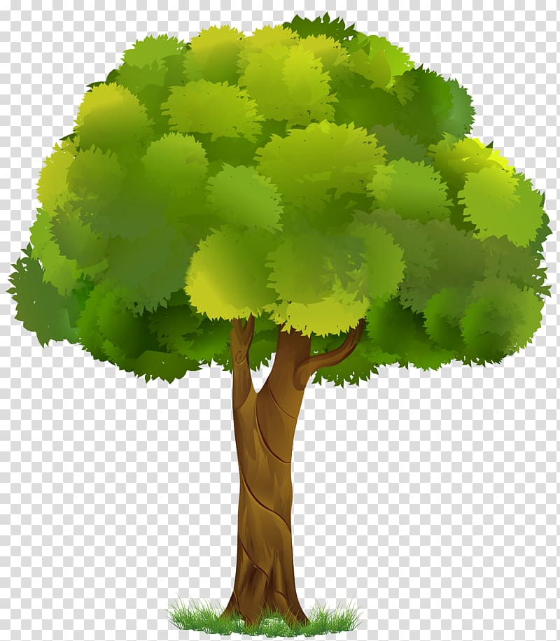green and brown tree illustration, A tree Rendering White , Tree transparent background PNG clipart