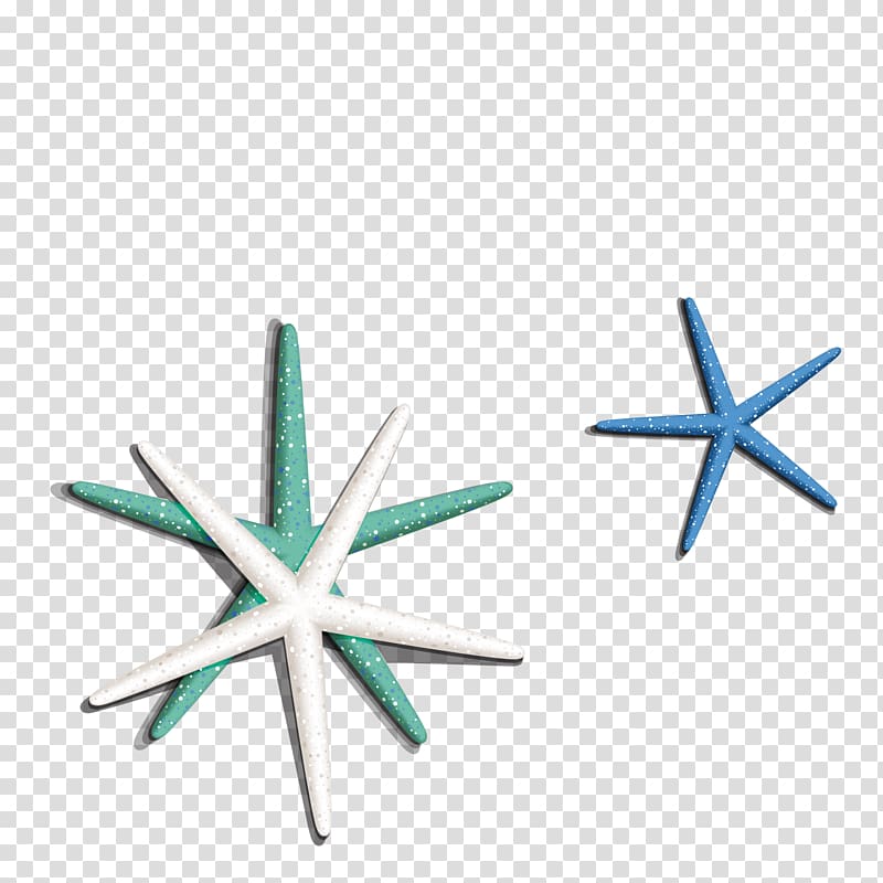 three blue, green, and white starfishes illustration, Starfish Seashell Euclidean , Sea starfish transparent background PNG clipart