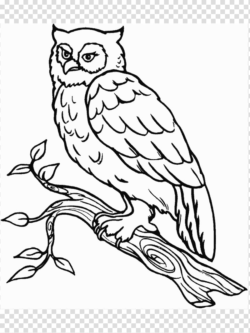 Snowy owl Coloring book Bird Barn owl, owl transparent background PNG clipart