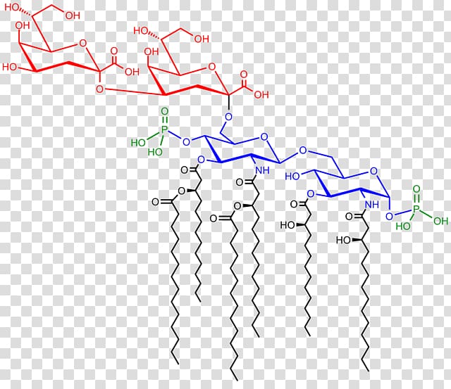 Endotoxin Saccharolipid 3-Deoxy-D-manno-oct-2-ulosonic acid Lipid A, Noncoding Dna transparent background PNG clipart