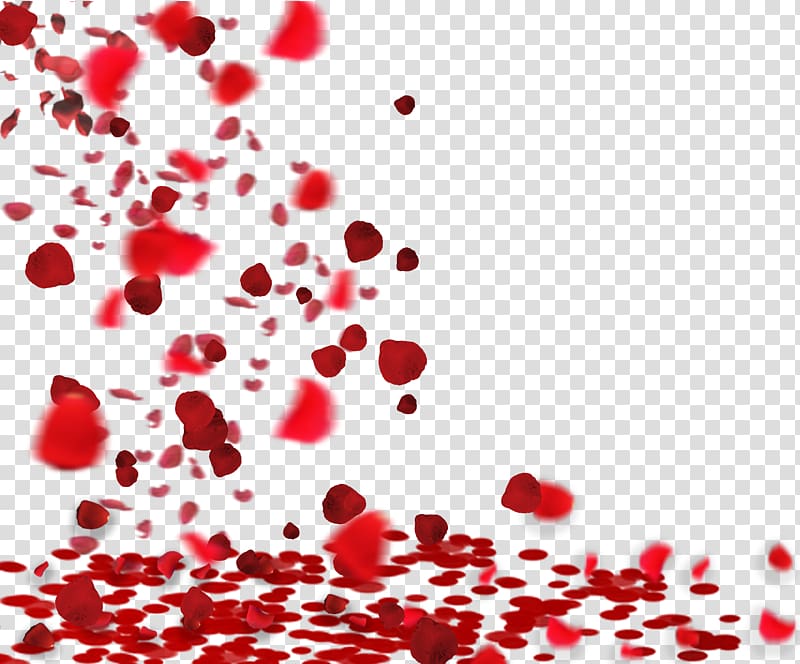 rose petals floating material transparent background PNG clipart