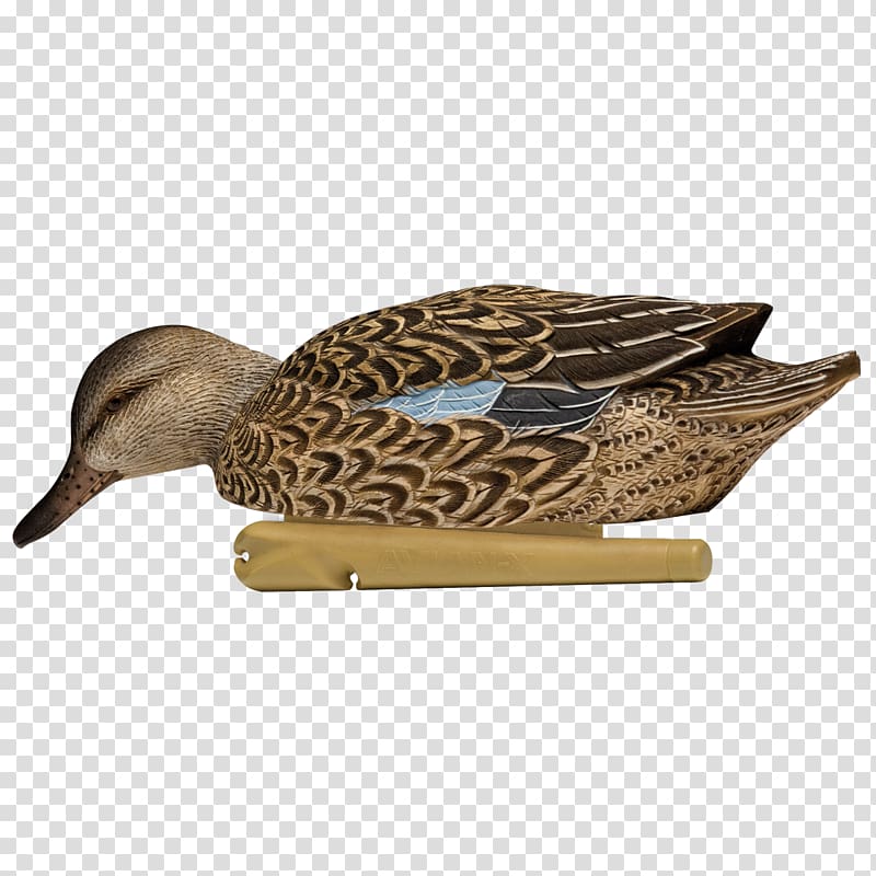 Mallard Duck decoy Eurasian Teal Green-winged teal, duck transparent background PNG clipart