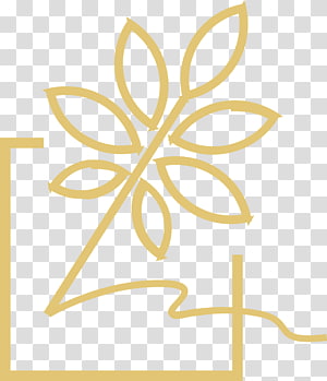 Petal Leaf Plant stem Angle , Leaf transparent background PNG clipart thumbnail