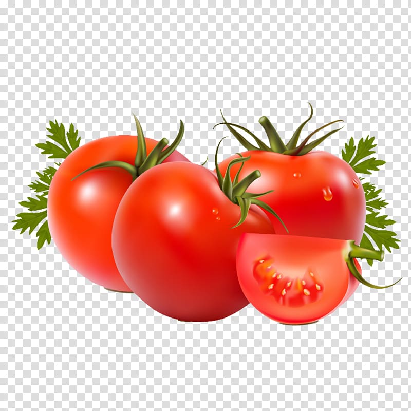 Roma tomato Vegetable Beefsteak tomato Fruit Food, tomato transparent background PNG clipart