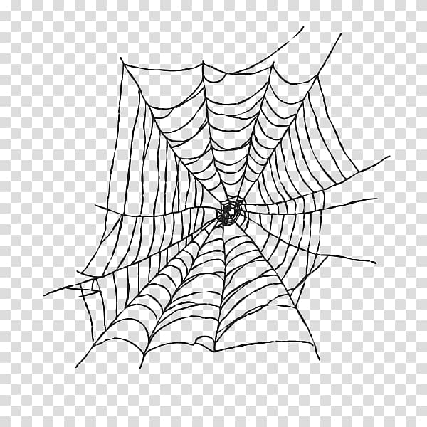 Spider web Spider-Man Witchcraft, spider transparent background PNG clipart