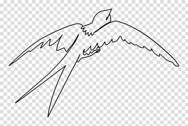 Barn swallow Bird Drawing, Bird transparent background PNG clipart