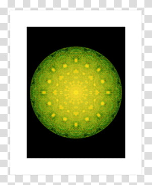 Sphere Organism, others transparent background PNG clipart thumbnail