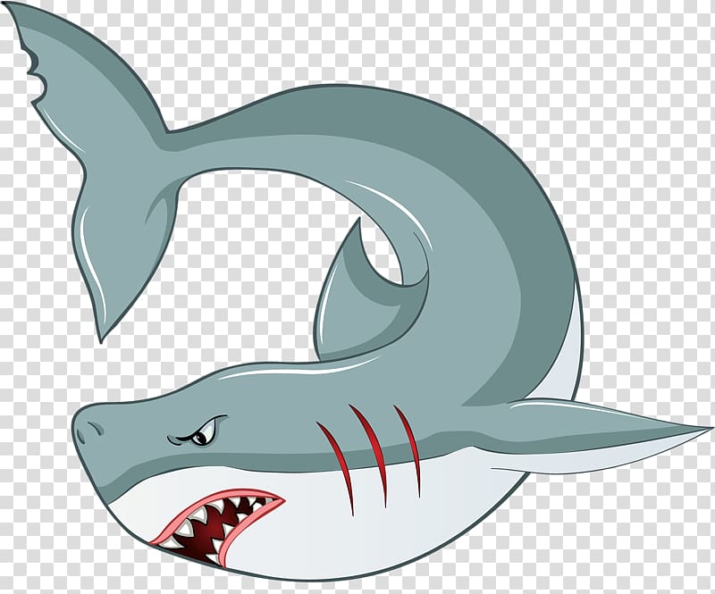 Great white shark Fish , Hand drawn shark transparent background PNG clipart