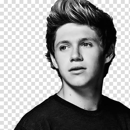 Niall Horan Mullingar One Direction Slow Hands, Niall Horan transparent background PNG clipart