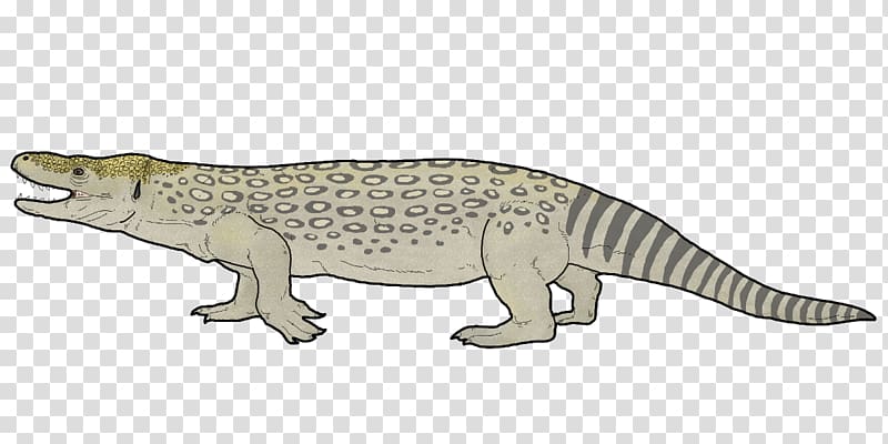 Estesia Monitor lizard Crocodile Tylosaurus, amphibian transparent background PNG clipart