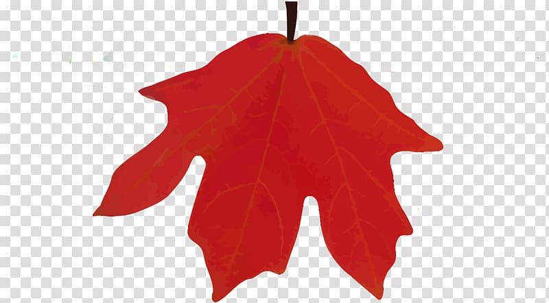 Lost Maples State Natural Area Maple leaf Camping Christmas ornament, Country Lane Campground Rv Park transparent background PNG clipart
