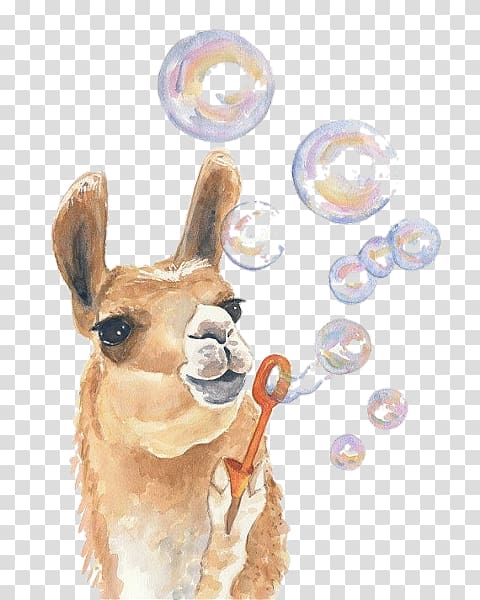 Llama Watercolor painting Drawing Art, painting transparent background PNG clipart