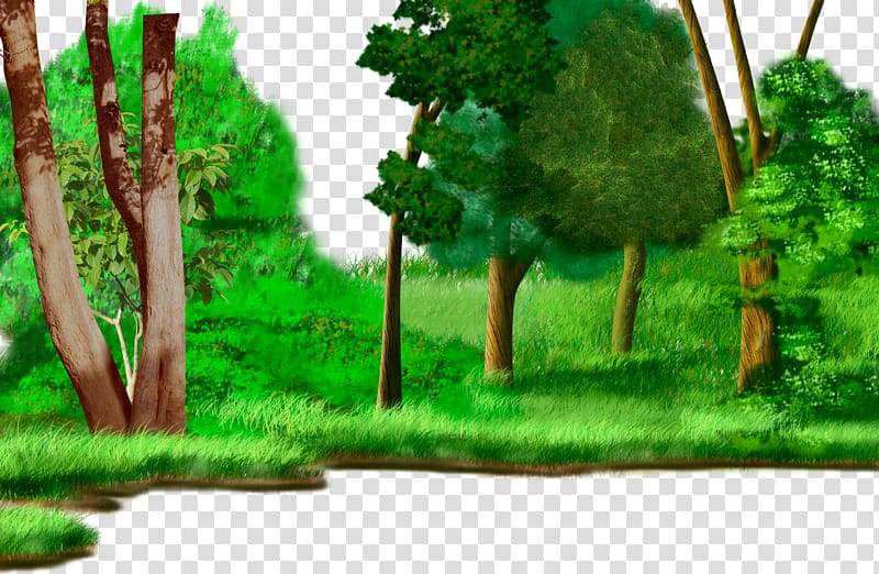 Forest Drawing Cartoon Animation Watercolor painting, Cartoon painted Grassland forest plants transparent background PNG clipart