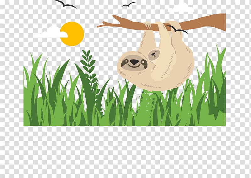 Sloth, Koala transparent background PNG clipart