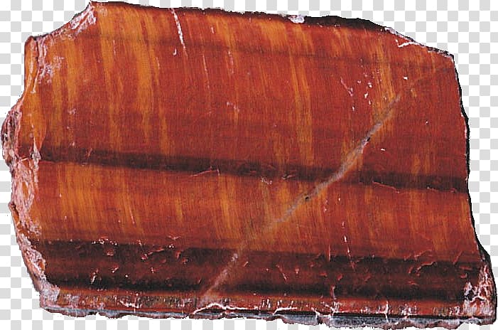 Petrified wood Agate Jasper /m/083vt, wood slab transparent background PNG clipart