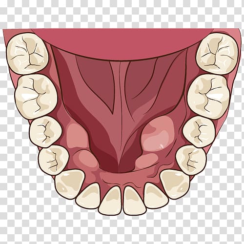 Tooth Alaleuanluu Dentist Jaw Mouth, others transparent background PNG clipart