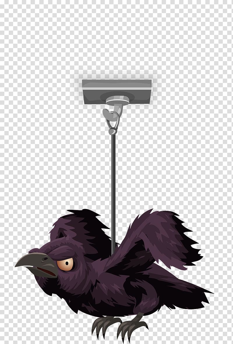 Taxidermy Crow, the crow transparent background PNG clipart