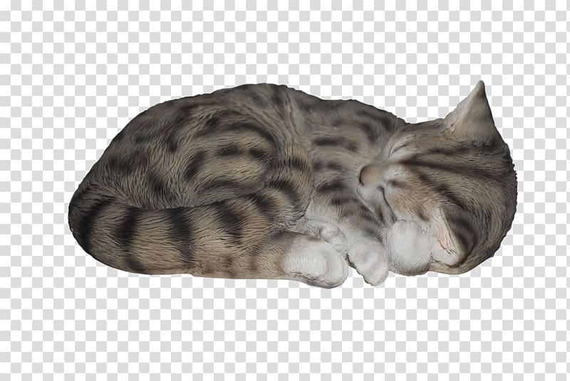 Tabby cat Kitten Art All Pets Considered, sleep transparent background PNG clipart