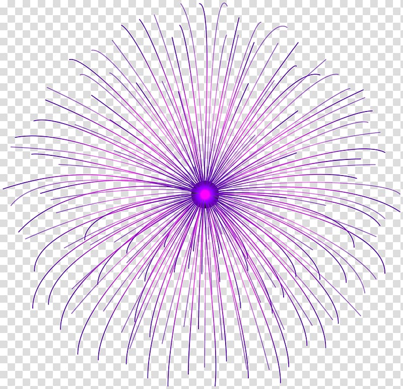Adobe Fireworks , Purple Firework Circle transparent background PNG clipart