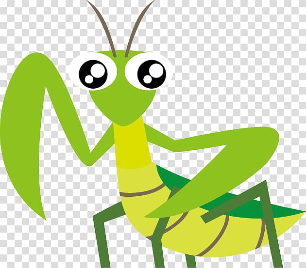 Mantis Insect , insect transparent background PNG clipart