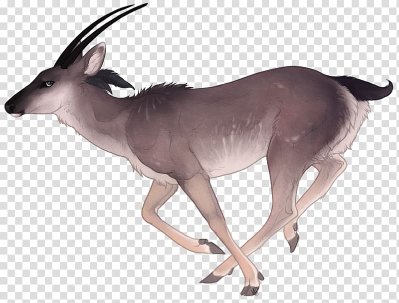 Deer graphics Gemsbok Watercolor painting, deer transparent background PNG clipart