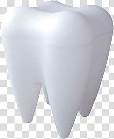 Teeth transparent background PNG clipart