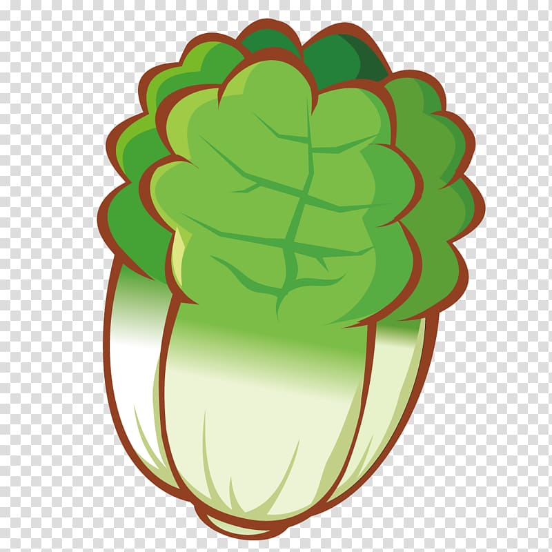 Cartoon Vegetable Drawing, Cartoon lifelike cabbage transparent background PNG clipart