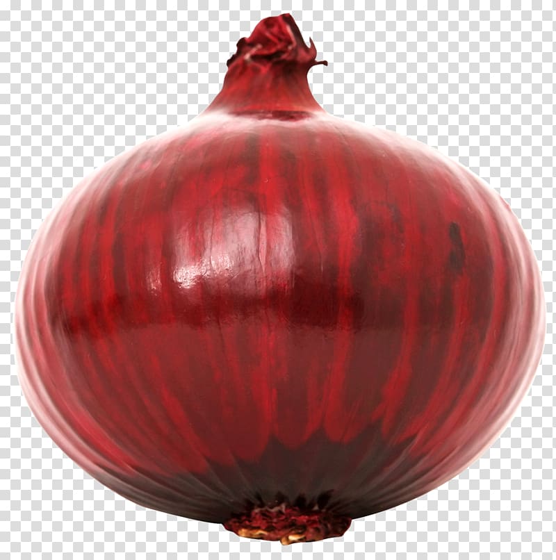 red onion bulb illustration, Red onion Vegetable, Red Onion transparent background PNG clipart