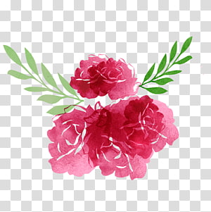 red flowers , Garden roses Flower, drawings, hand drawn watercolor, floral decorations transparent background PNG clipart red flowers , Garden roses Flower, drawings, hand drawn watercolor, floral decorations transparent background PNG clipart thumbnail