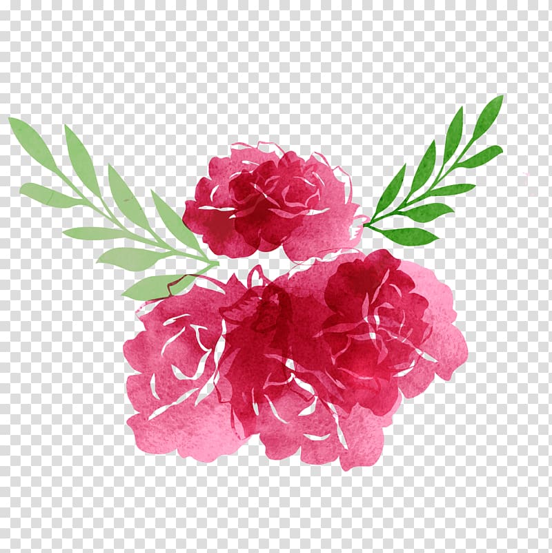 red flowers , Garden roses Flower, drawings, hand drawn watercolor, floral decorations transparent background PNG clipart