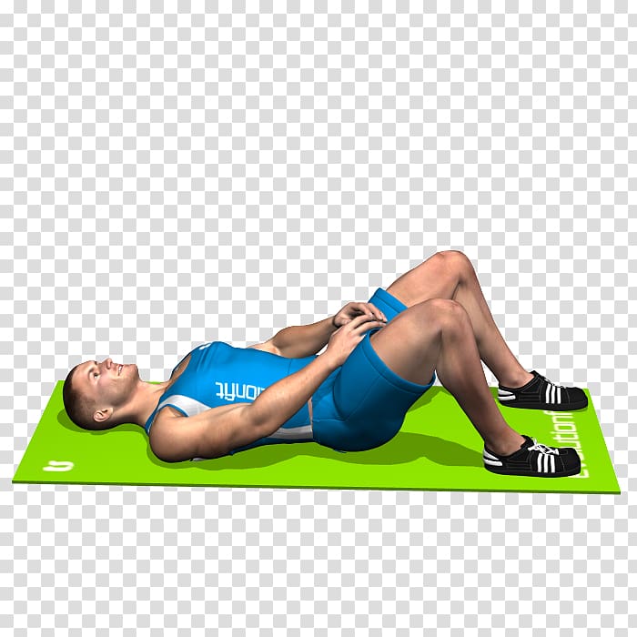 Crunch Physical fitness Sit-up Rectus abdominis muscle Abdominal external oblique muscle, mani transparent background PNG clipart