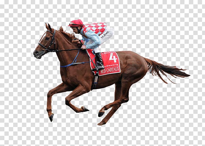Horse racing Melbourne Cup Sports betting Red Cadeaux, horse riding transparent background PNG clipart