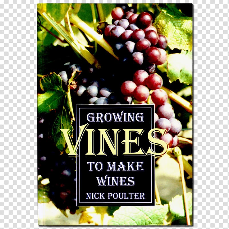 From Vines to Wines: The Complete Guide to Growing Grapes and Making Your Own Wine Growing Vines to Make Wines Common Grape Vine, grape transparent background PNG clipart