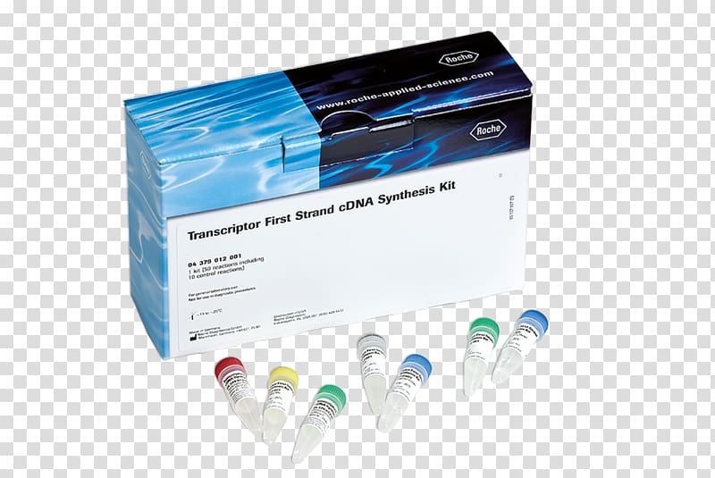 DNA extraction Plasmid preparation Roche Applied Science Itsourtree.com, campaigns transparent background PNG clipart