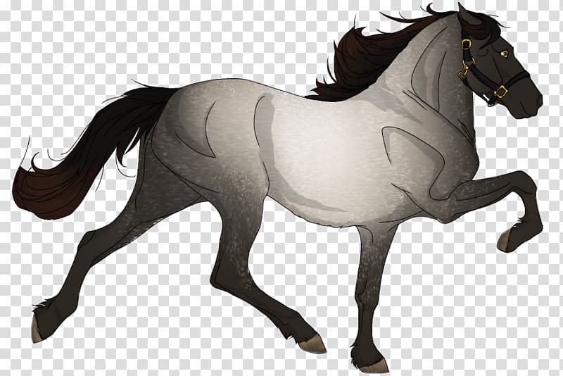 Appaloosa Pony Mustang Mane Bay, stand against bullying 2014 transparent background PNG clipart