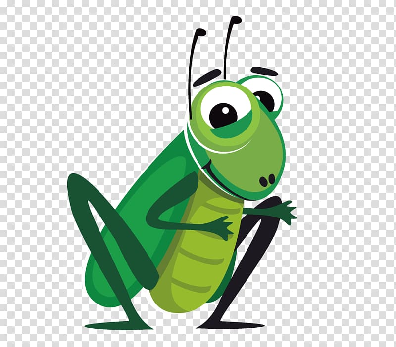 Cartoon Cricket , Hand-painted grasshopper insect transparent background PNG clipart