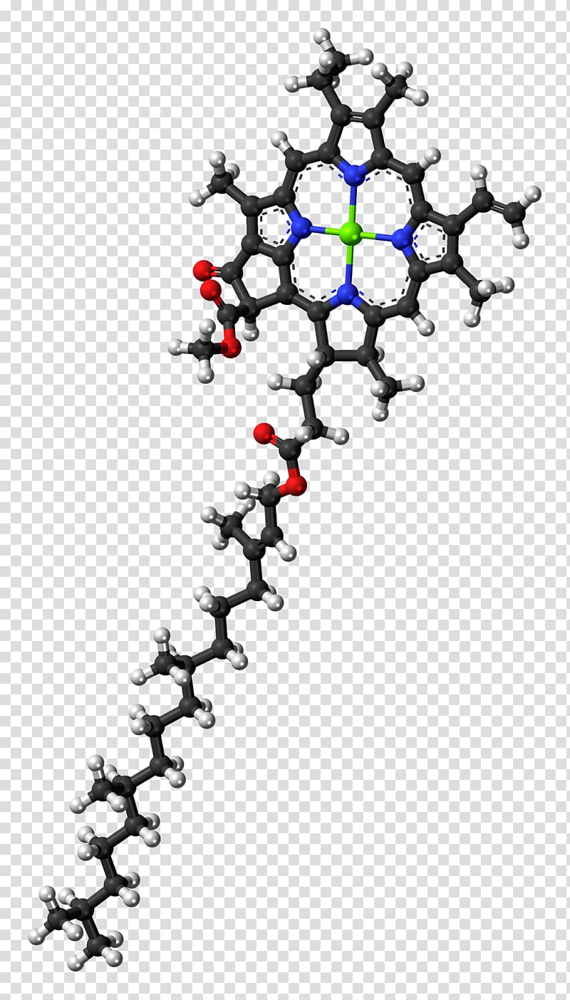 Chlorophyll a Chlorophyll b Molecule synthesis, file transparent background PNG clipart