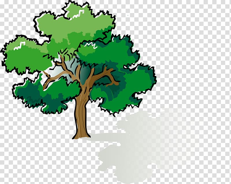 Shade tree Oak , Lush tree transparent background PNG clipart