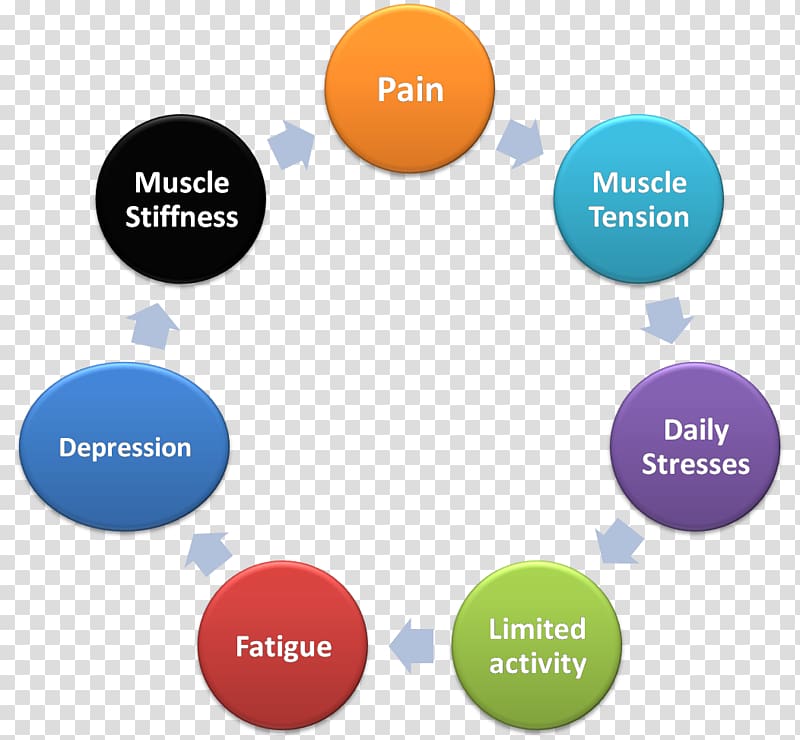 Leptin Hormone Adipose tissue Problem solving Insulin, others transparent background PNG clipart