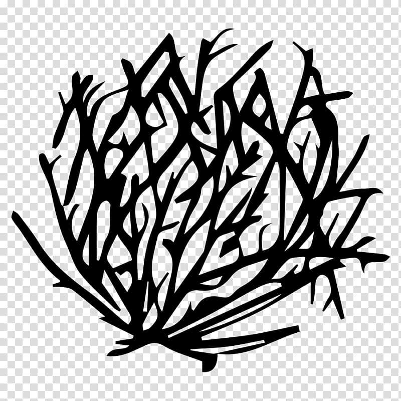 Tumbleweed Drawing , black ink transparent background PNG clipart