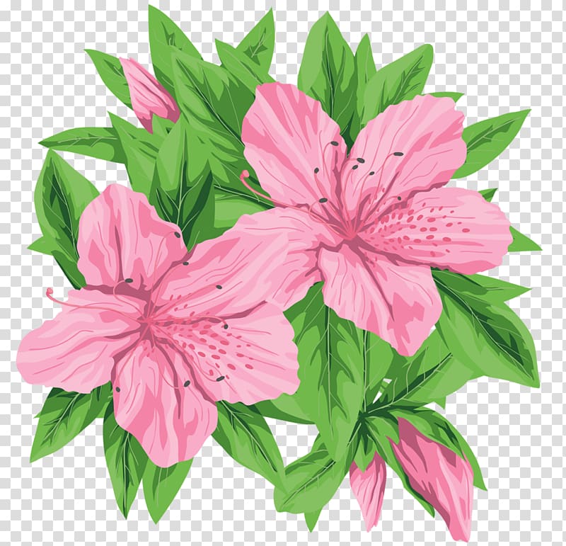 pink Peruvian lilies painting, Pink flowers Pink flowers Green, Pink Flowers transparent background PNG clipart