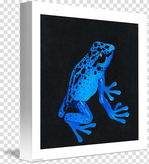 Tree frog Cobalt blue Frames, Poison Dart Frog transparent background PNG clipart