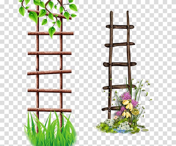 Ladder Albom Icon, Flower frame ladder transparent background PNG clipart