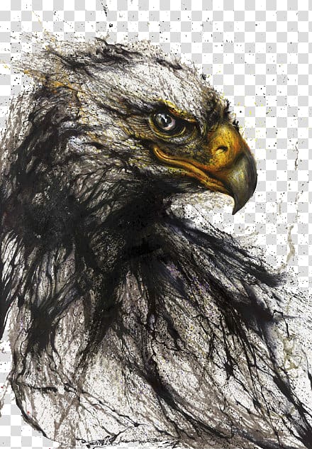eagle illustration, Tunan Painting Chinese art Style, eagle transparent background PNG clipart